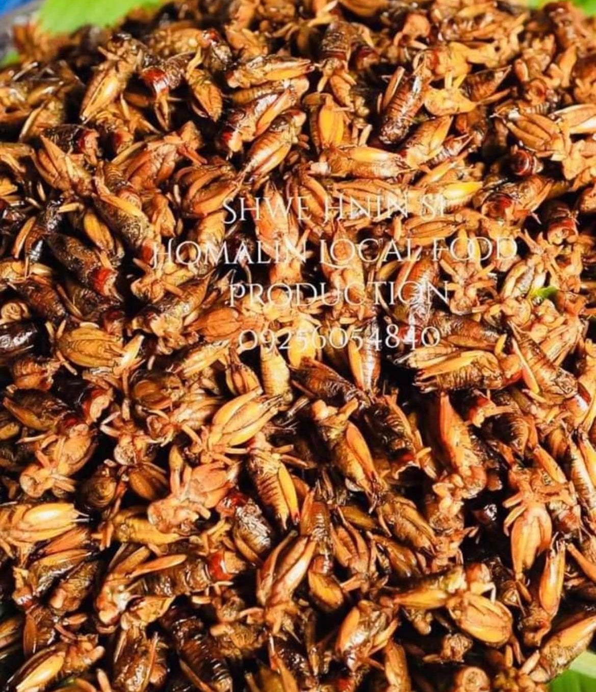 ဟုမ္မလင်း ရွှေနှင်းဆီ ပုရစ် (အမသီးသန့်) အချို